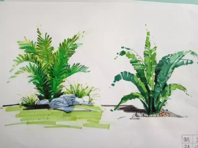 动漫手绘教程水溶彩铅上色技法,手绘教程零基础入门上色