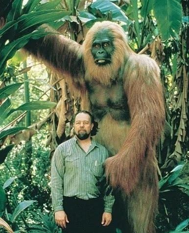 世界上最长的3米巨型蜈蚣,史前十大巨兽排行榜棘龙