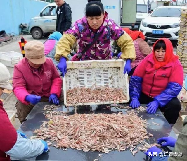 青岛本地人吃的蛎虾是什么虾,大连蛎虾怎么吃