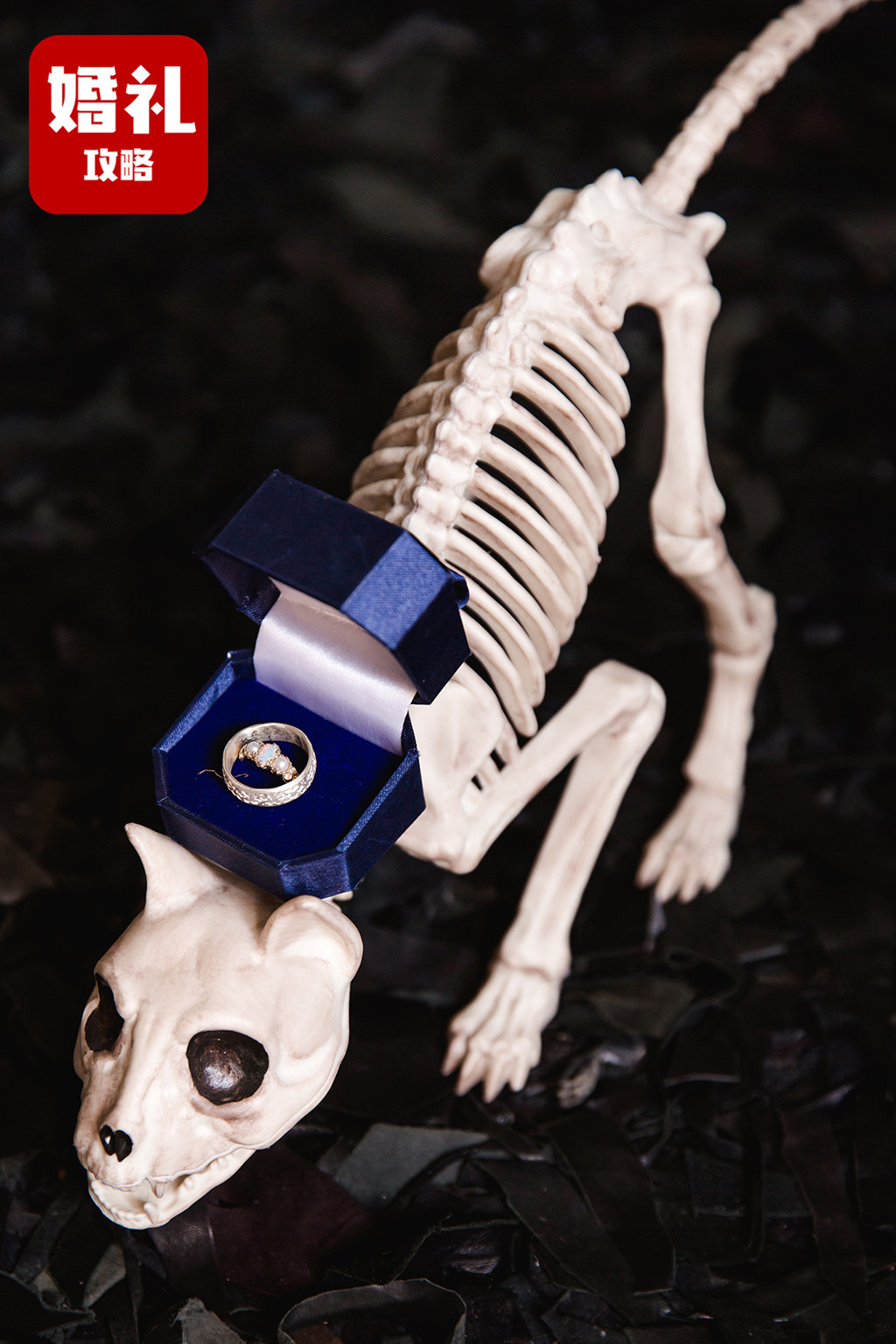 国外哥特风婚礼,英国婚礼玩儿哥特风