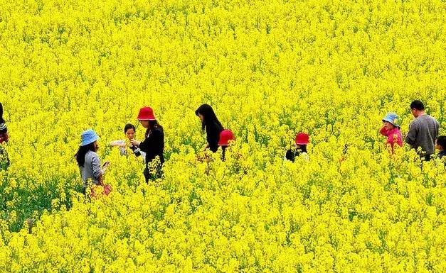 身份证410、411、412开头的，去了郑州就等于去了全世界