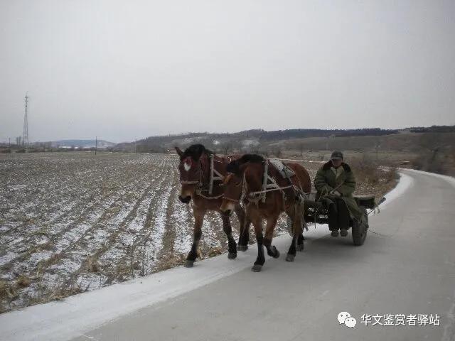 上世纪30年代农村马车,六七十年代农村主要运输工具重温