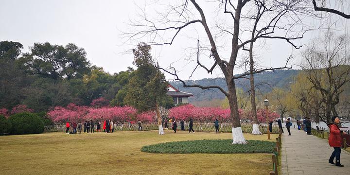 打卡杭州丨不婚族宅男，隐居孤山，是令狐冲原型，皇帝也赞赏