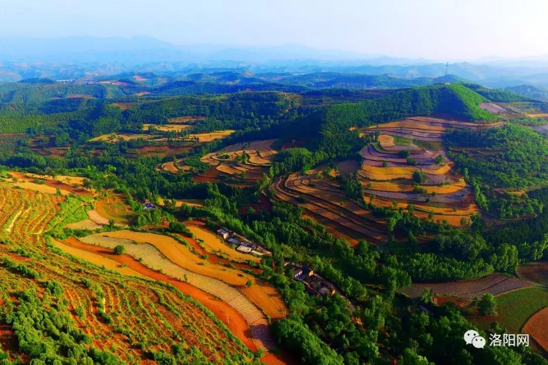 洛阳向全球推介,洛阳向世界发出邀请