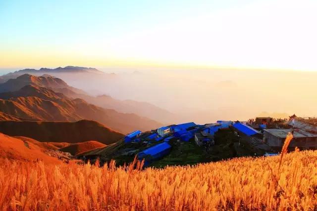 醍醐灌顶文章,醍醐灌顶的文章四句话