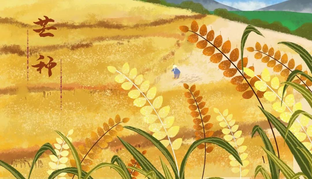 30首芒种诗词读起来真美,今日芒种十首最美芒种诗词