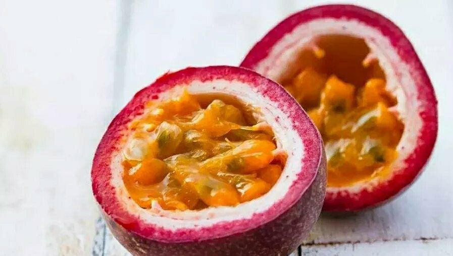 百香果观察日记作文,百香果的小日常