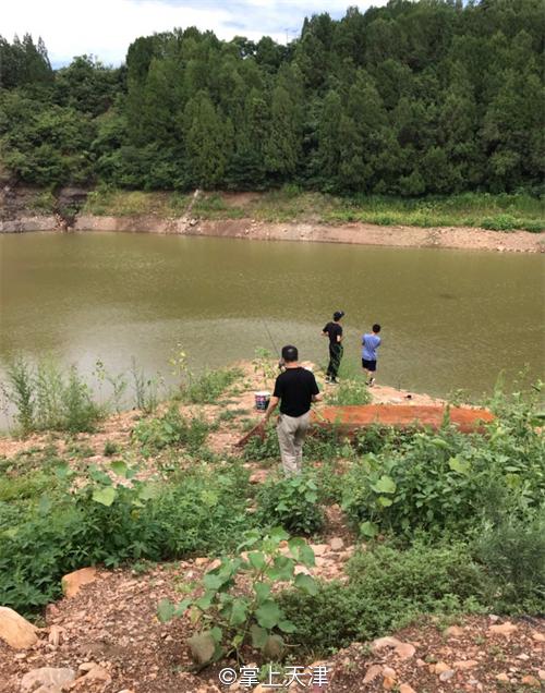 蓟州玩水垂钓农家院,蓟州区适合带孩子玩的农家院