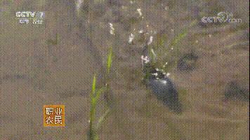 中国用了占世界多少的耕地,我国用占世界百分之几的耕地