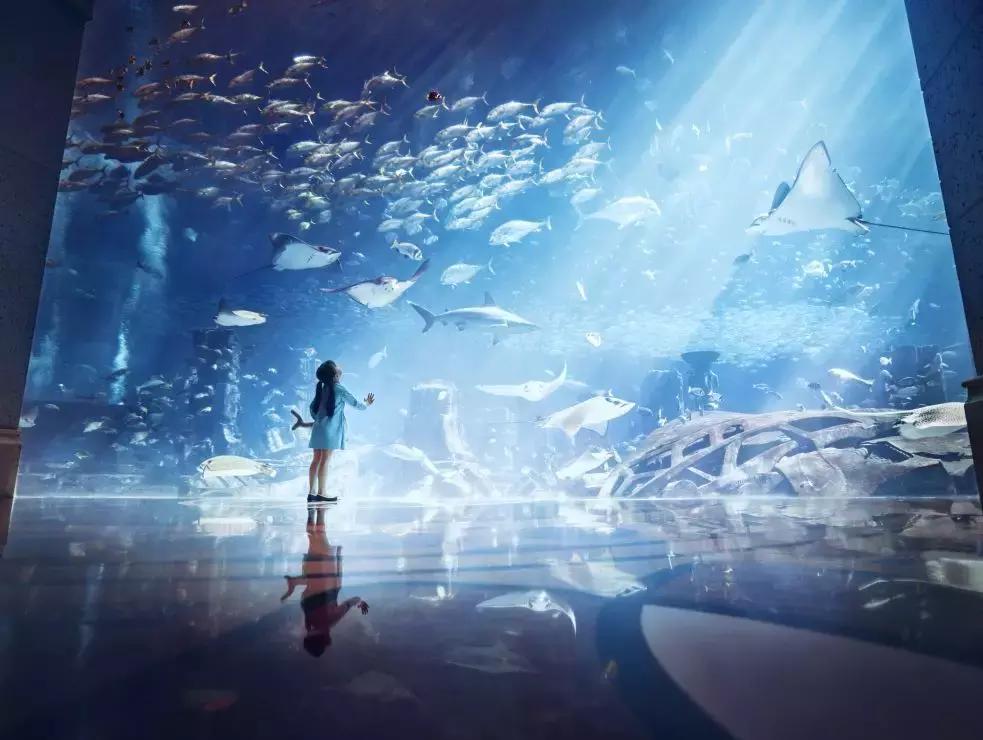 温泉季已到,这个元旦就来一场惬意的海南泡汤+逛吃之旅吧!