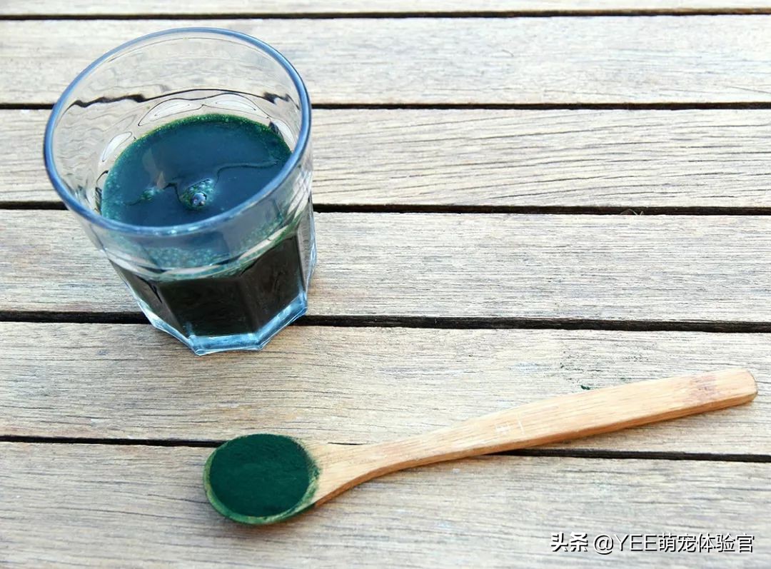 观赏鱼用的螺旋藻,螺旋藻与观赏鱼