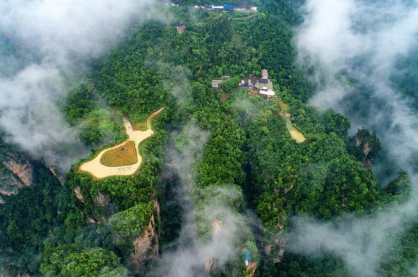 武陵源适合隐居吗,武陵源隐居哪里最好