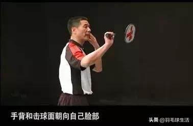 羽毛球十个知识,羽毛球基础知识100例