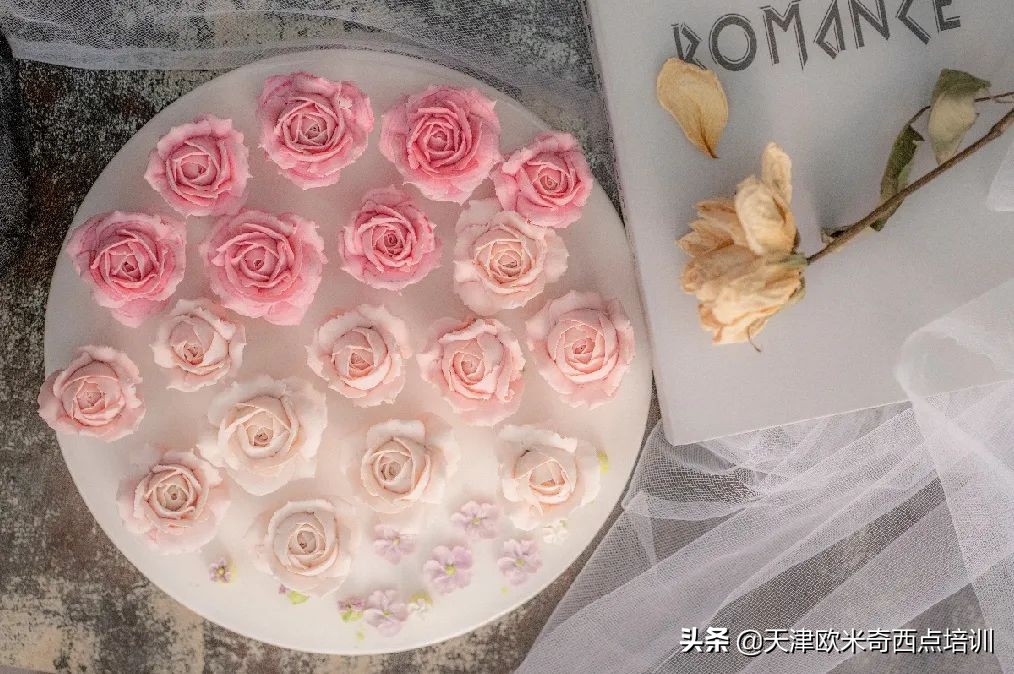 欧米奇学员真实学习体验,天津欧米奇学校可靠吗