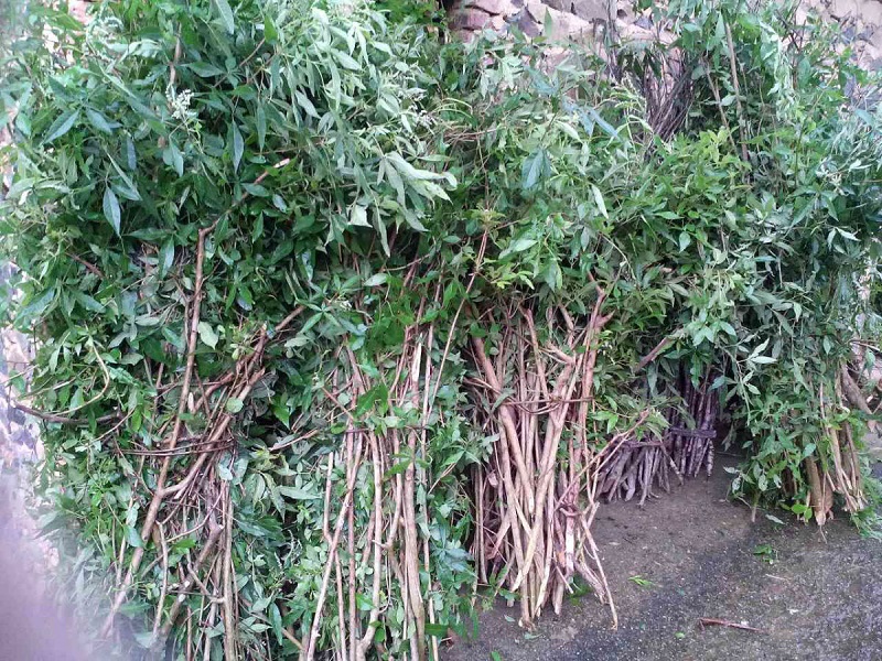 客家娘酒故事大全,客家娘酒民间传说