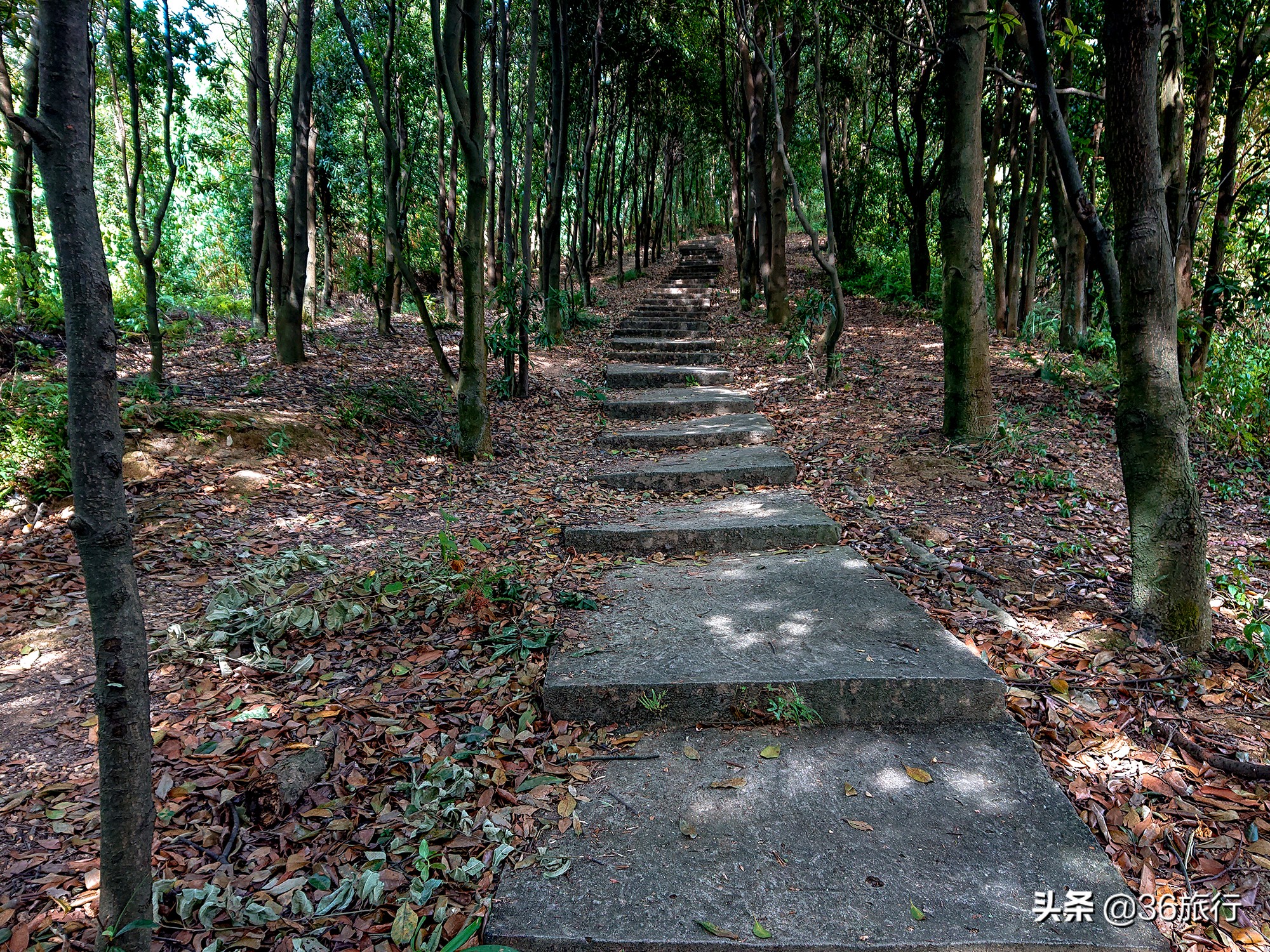 清远白庙一日游攻略,清远两天一夜游攻略黄腾峡