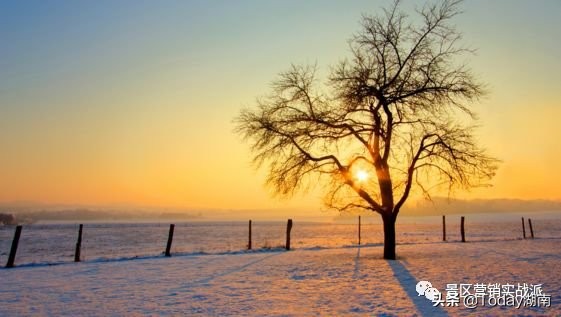旅游业倒闭了多少家,旅游业再遭重创