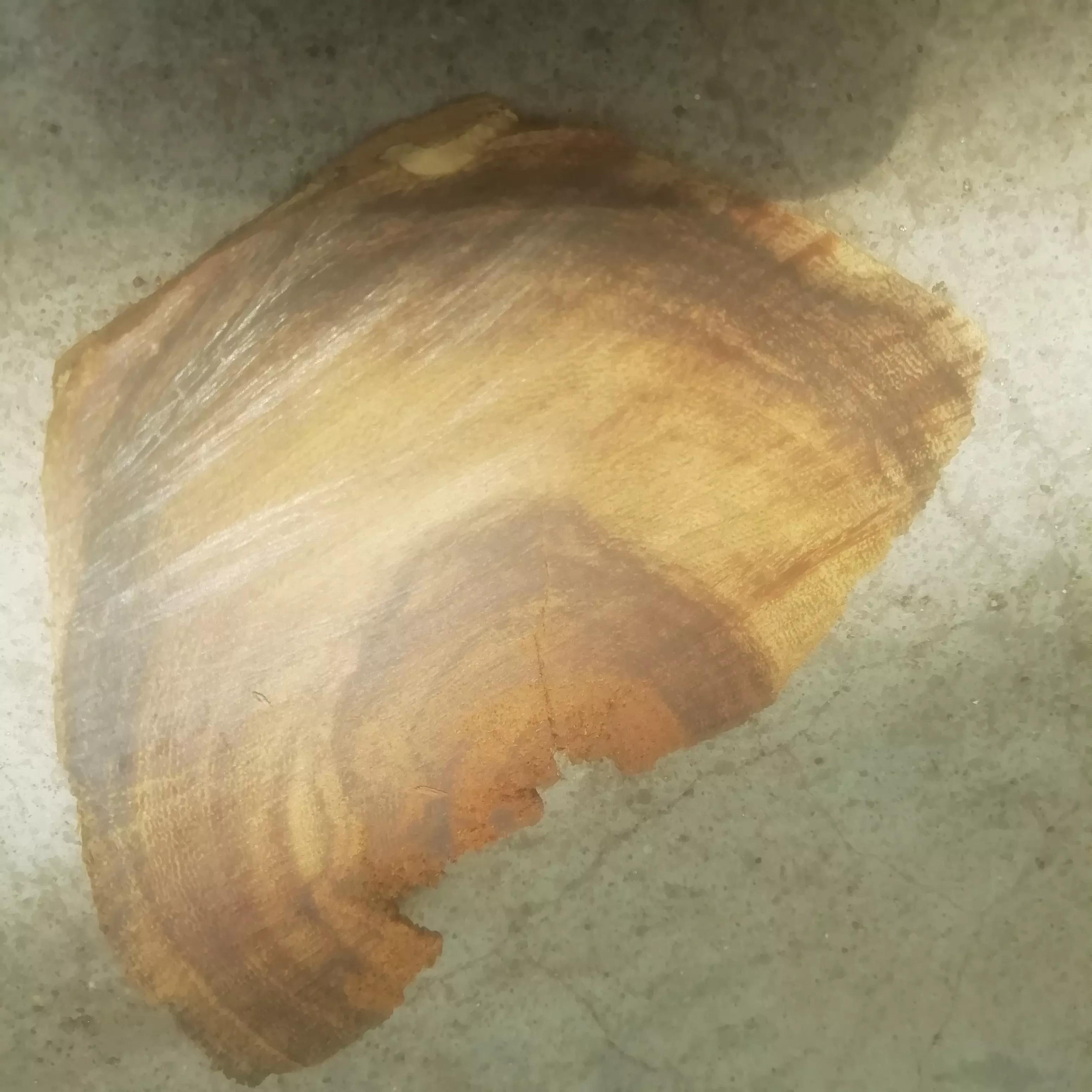 怎样辨别是否是黄花梨木,怎么看是不是黄花梨