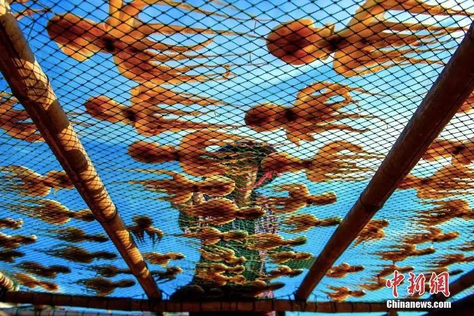 夏季警惕舌尖上的寄生虫,吃了不干净的东西哪里会有寄生虫