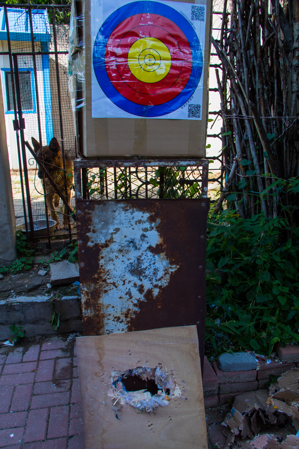 国产复合弓十大品牌,实战测试弓和弩