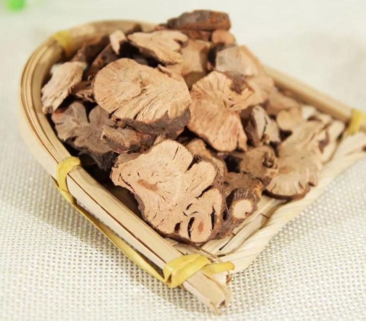 中药金荞麦,金荞麦什么样子