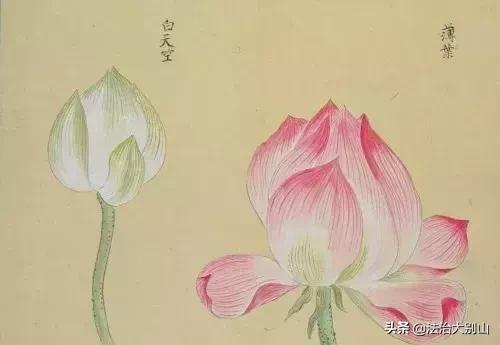 人民日报120个常被误用错写的成语,易被误用成语300例解释