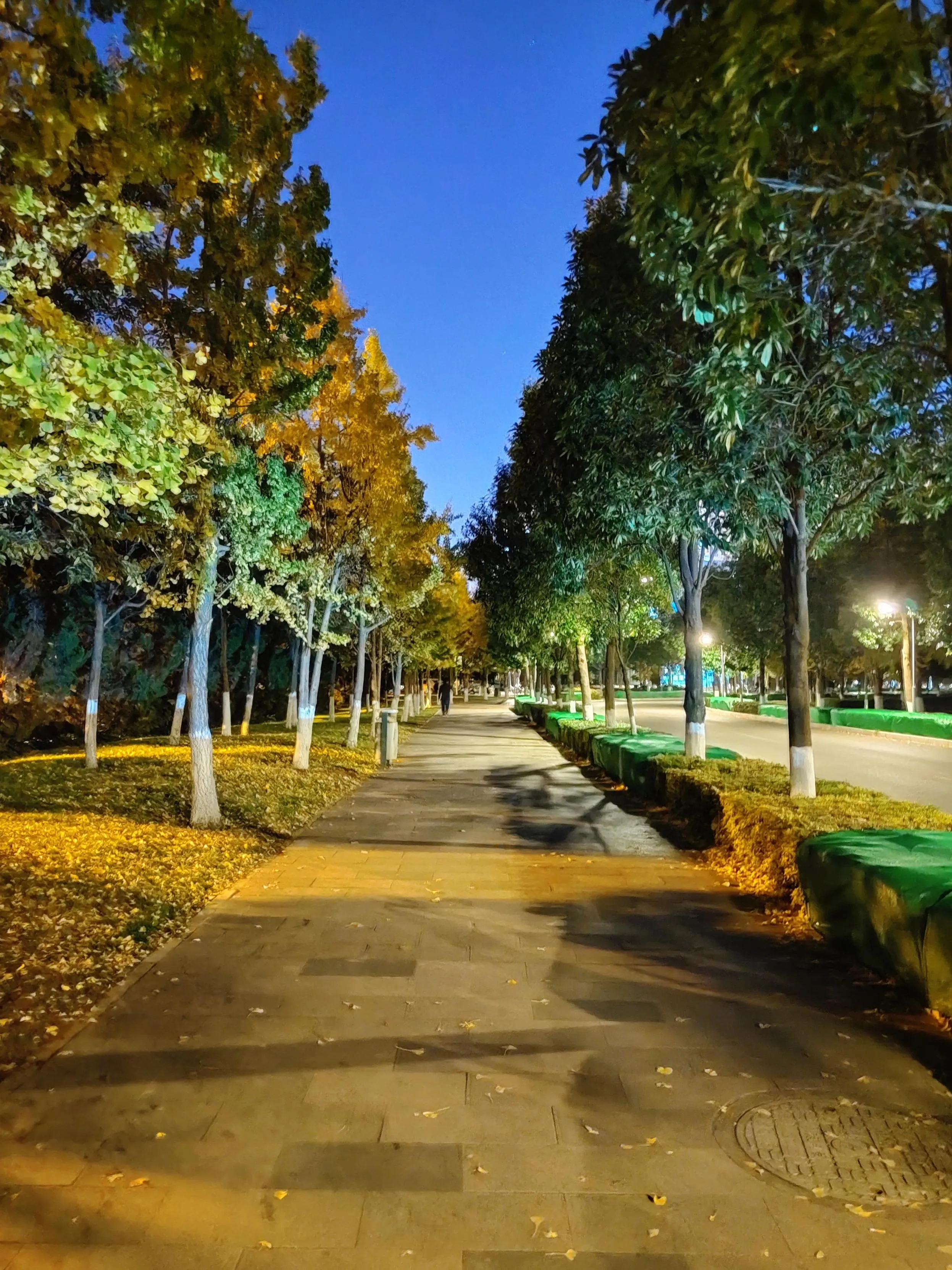 小米10至尊纪念版和荣耀magic3pro,小米10至尊纪念版对比小米11ultra