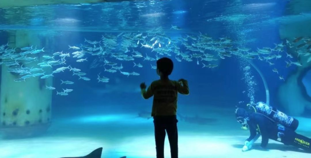 南京海底世界小朋友要票吗,南京海底世界99元一大一小套票