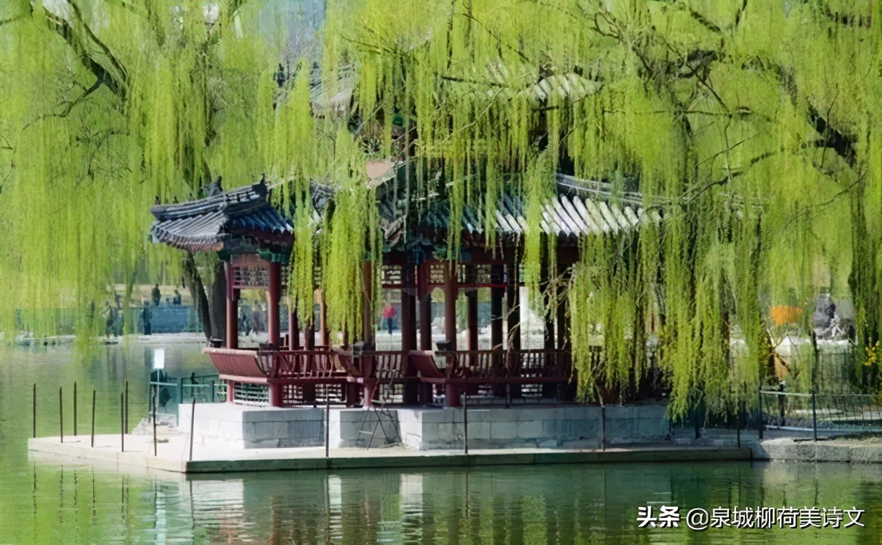 徐和先生一组《乌夜啼》