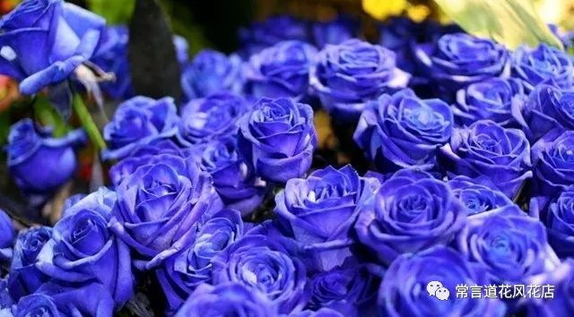 鑺卞崏钃濊壊濡栧К鎬曞ぉ鐑悧,钃濊壊濡栧К灞炰笉灞炰簬闇插ぉ鑺卞崏