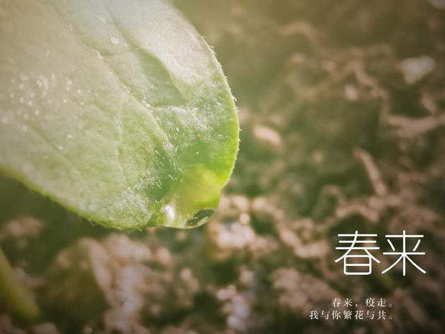 手机拍摄小技巧创意摄影,手机创意拍摄技巧