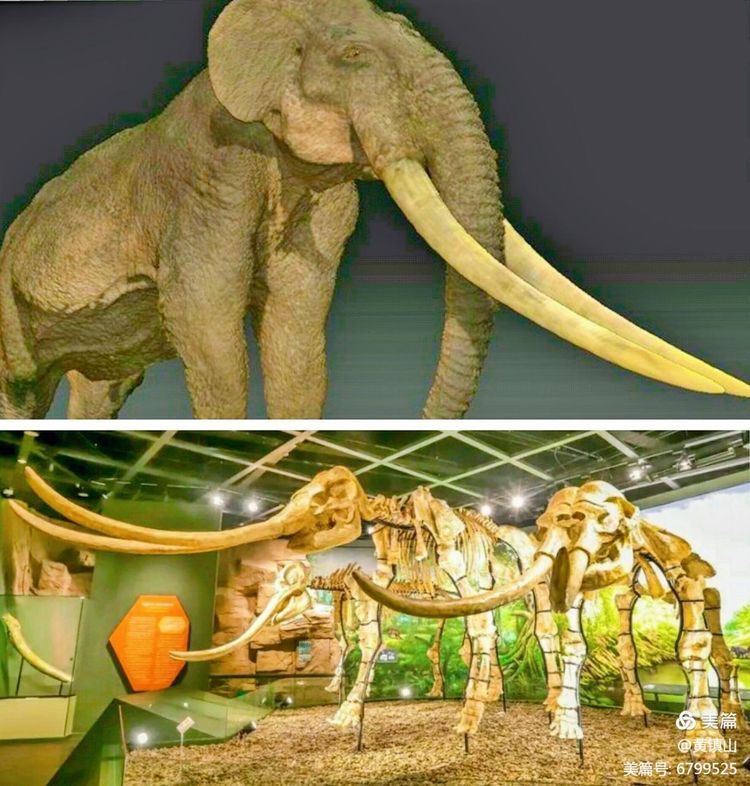 *镇黄**山：汉水考古惊天下