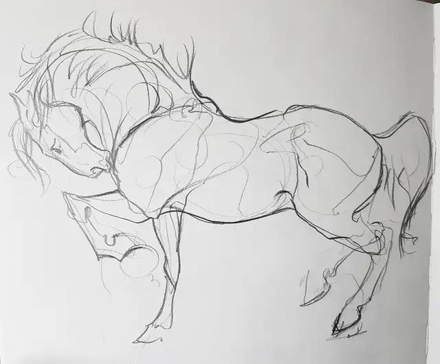马怎么画简单图画,马怎么画更真实