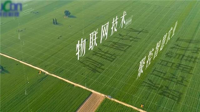 智慧农业盈利能力,智慧农业创业项目简介