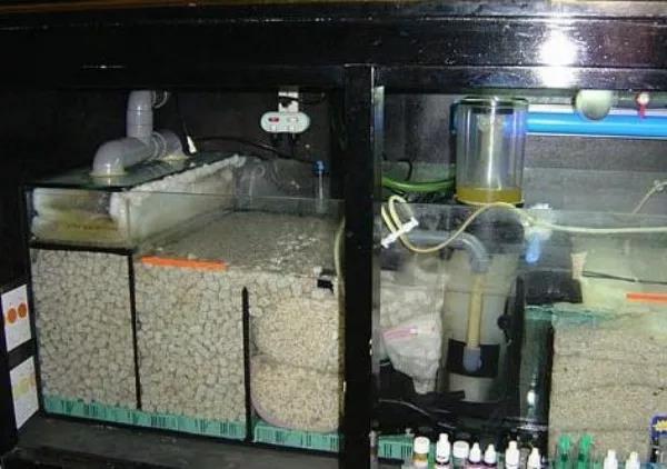 快速培养硝化细菌,海绵培养硝化细菌