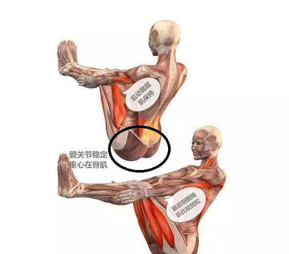 瑜伽船式尾骨痛,瑜伽尾椎骨疼痛缓解