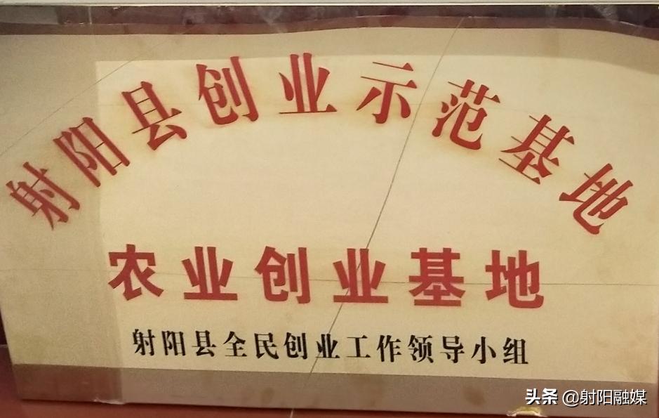 射阳县各村名单,射阳县各乡镇村名单