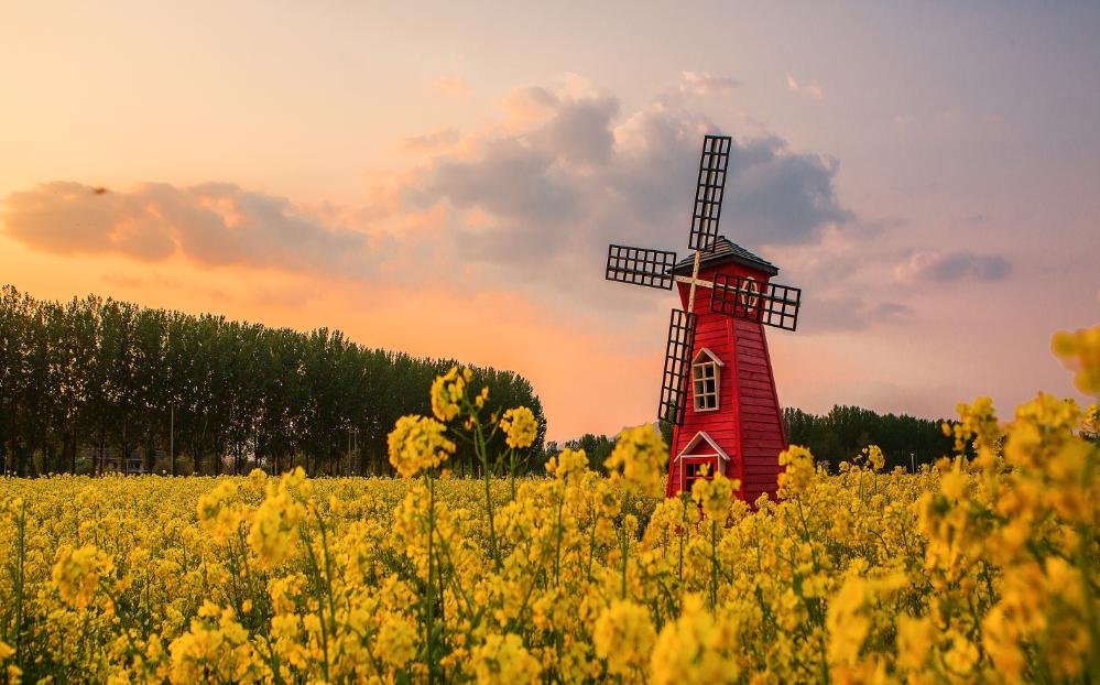 北京4月踏青的地方丰台区有哪些,丰台踏青好去处