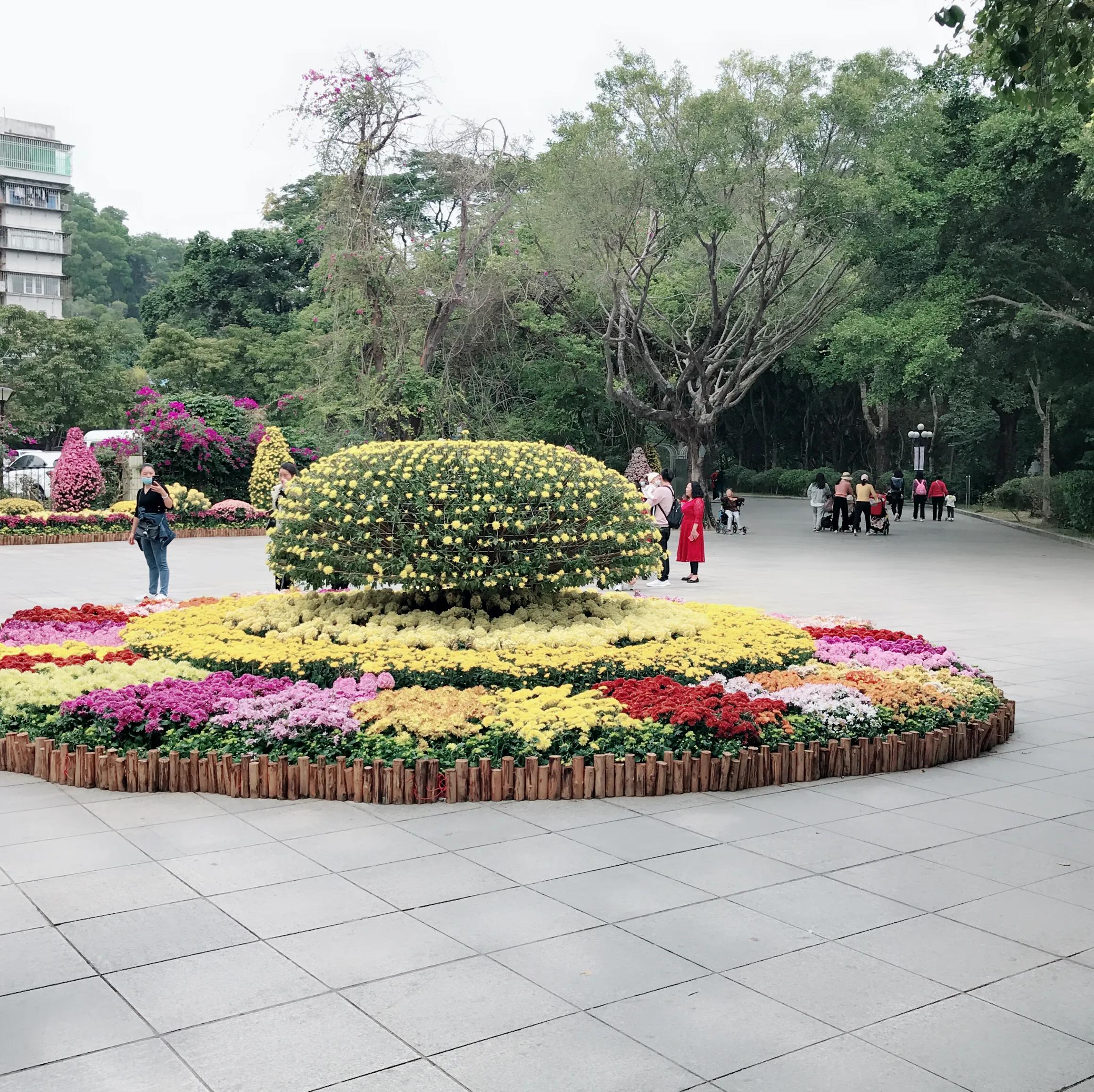 閬涘▋濂藉幓澶勮強鑺卞睍,娣卞湷閬涘▋鐪嬪睍