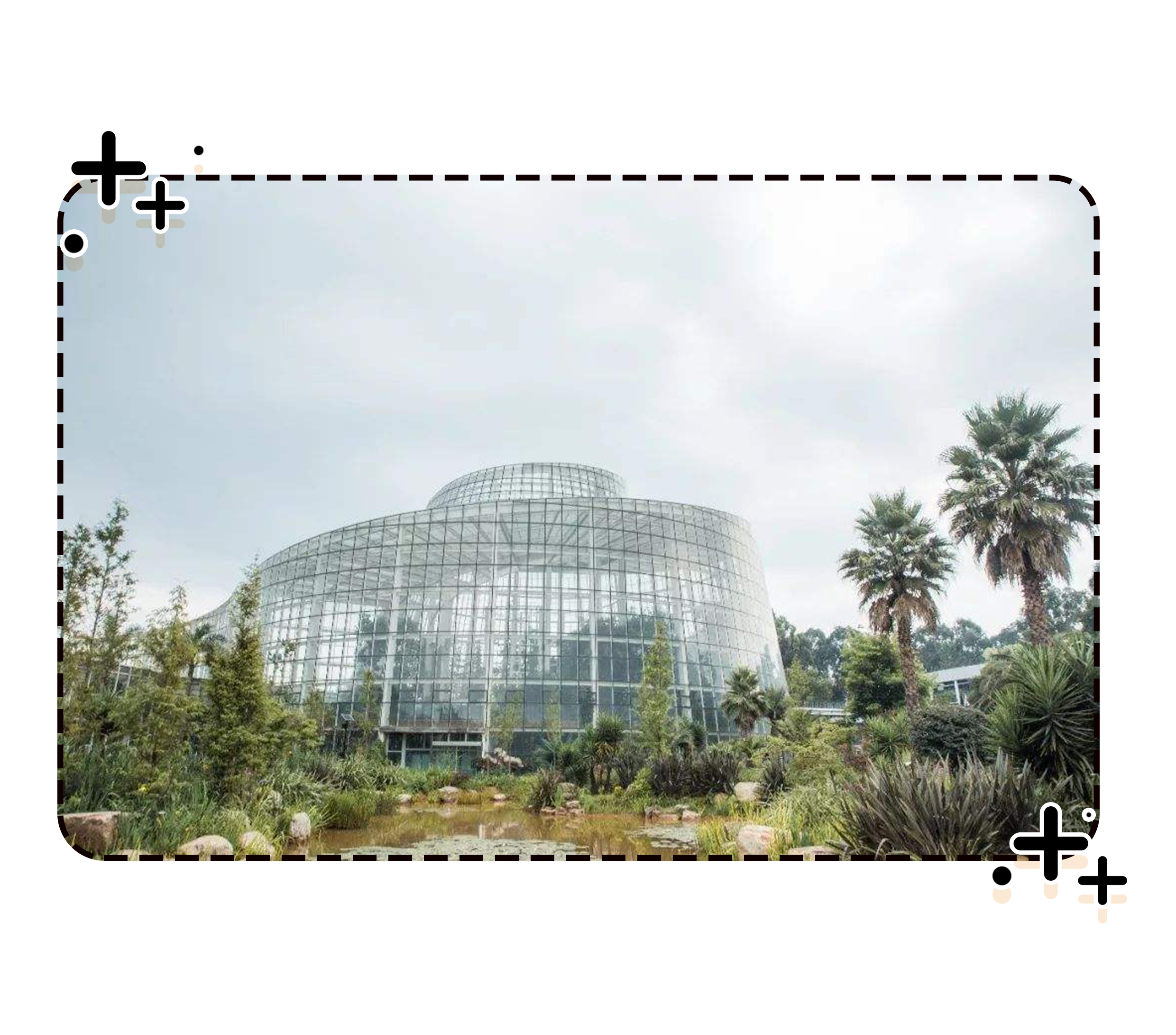 荔枝控们有多疯狂？为了阻止荔枝“自杀”费尽心机（菲李漫画）