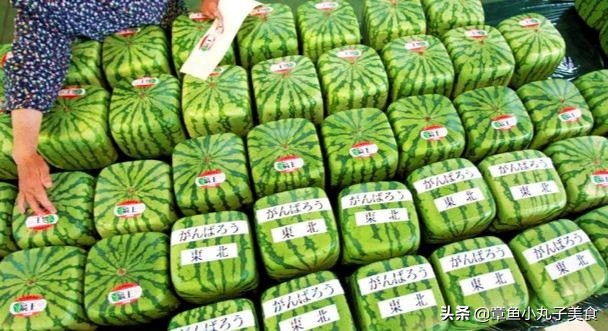 日本奇葩食物有哪些,日本最奇葩的菜是什么