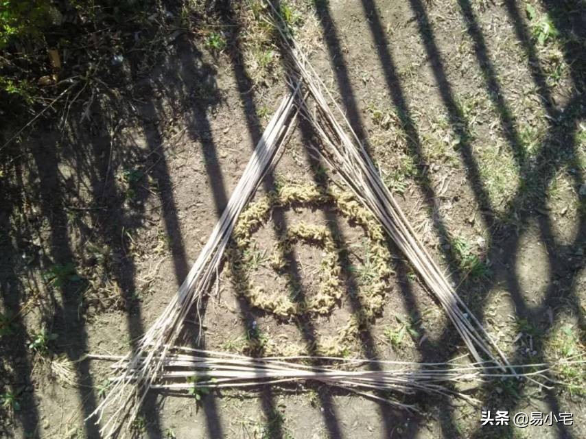 阿土|荒野生活/从城市白领到山中野人