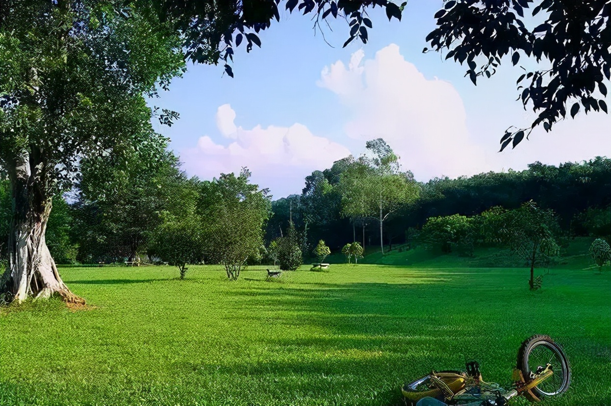 广州吃海鲜最便宜的地方2018年,广州的海鲜哪里又新鲜又便宜