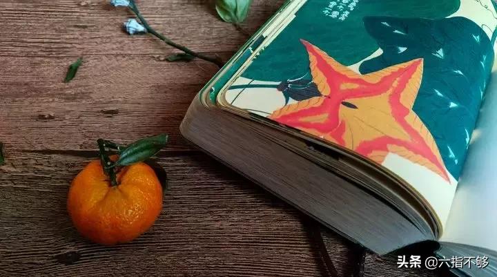 我不知道某宝为什么要给我推荐这些东西 #52