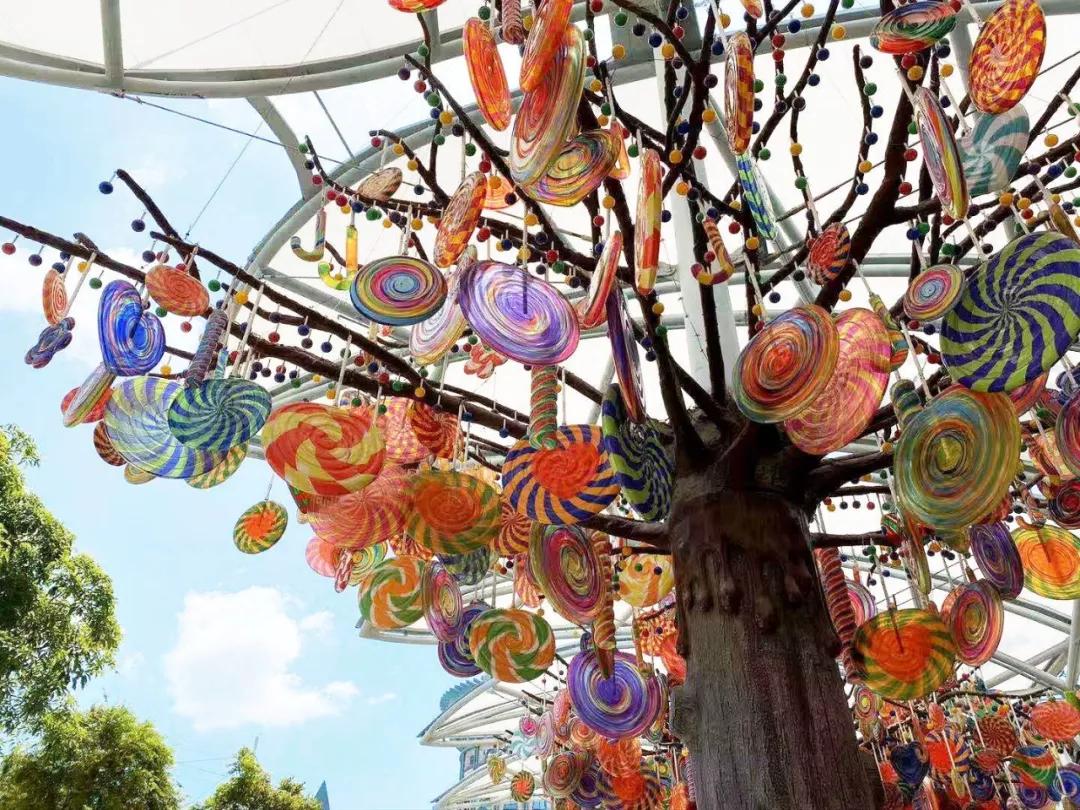 疫情期间去埃及旅游的亲历,疫情期间从深圳直飞洛杉矶体验