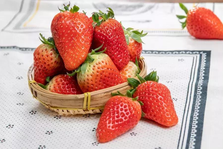 一下子吃了很多草莓,一下子吃了300g草莓