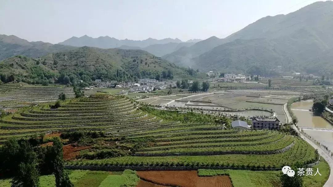 茶眼看陕西最新视频,茶眼看陕西