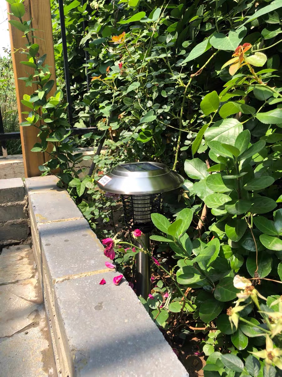 一楼蚊子特别多怎么除蚊子,一楼下水道蚊子怎么消除