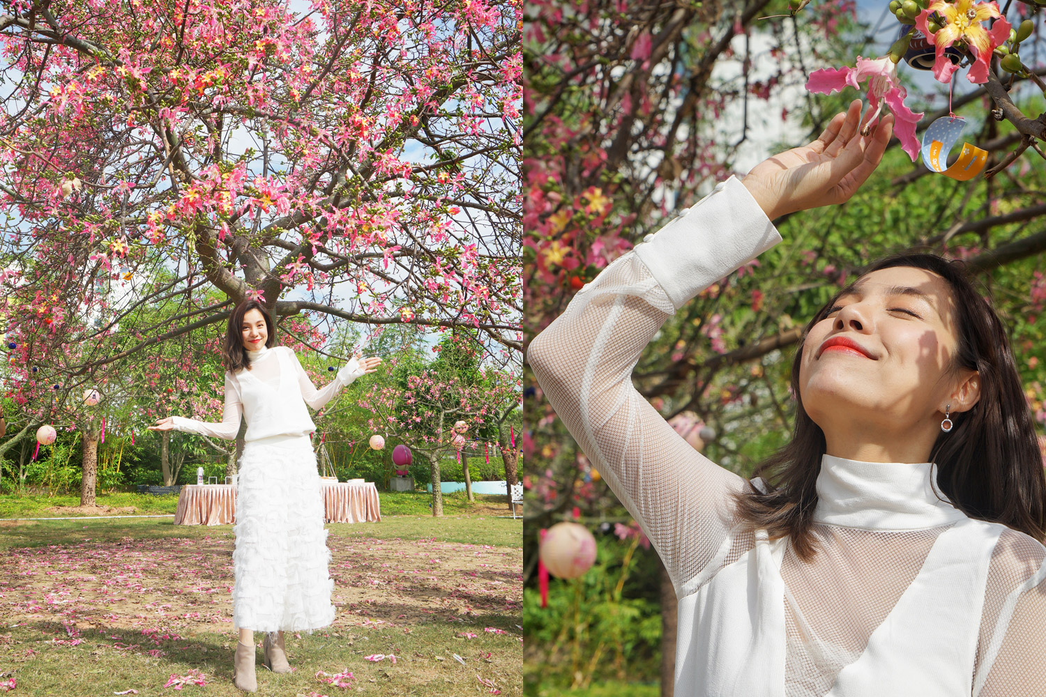 广州粉色浪漫花海,广东秋天粉色花海