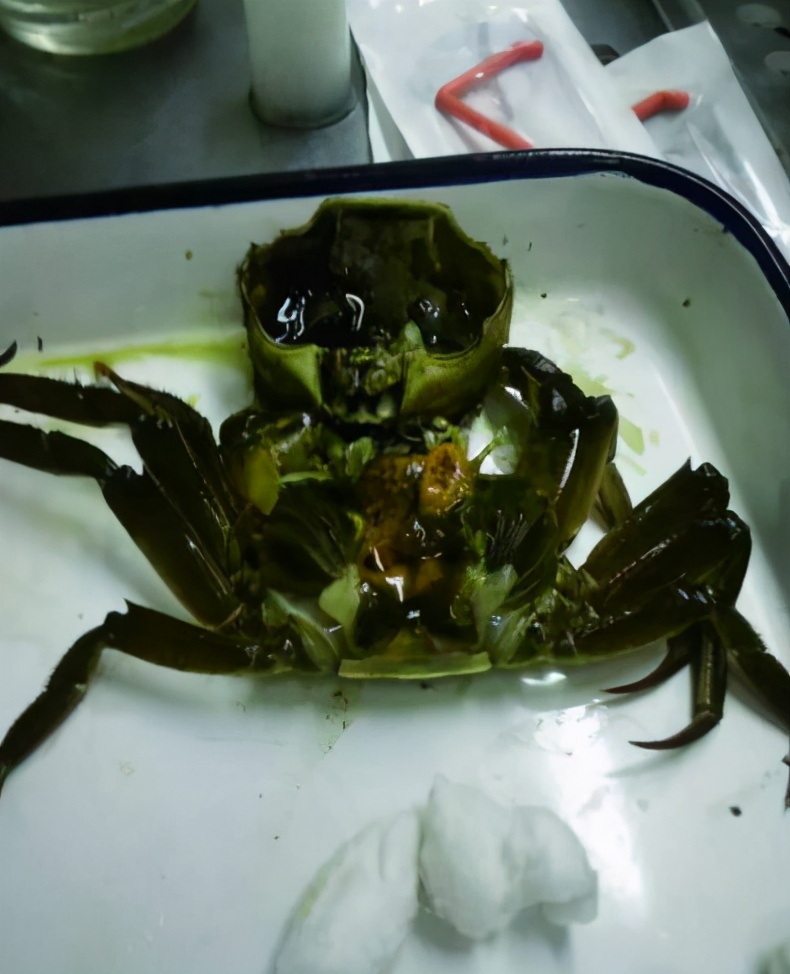 河蟹黑鳃病治疗,河蟹病的原因及治疗方法